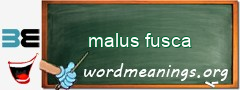 WordMeaning blackboard for malus fusca